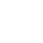 2024 - 2025